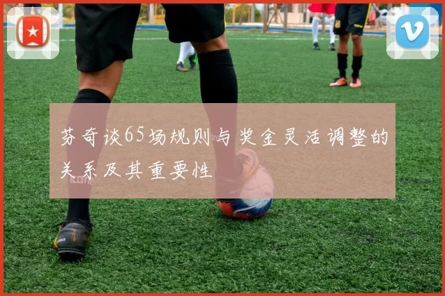芬奇谈65场规则与奖金灵活调整的关系及其重要性